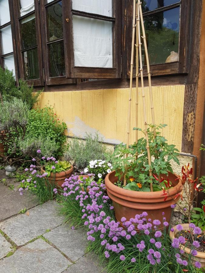 Ca Balossa, Tremezzina Lago Di Como Davanti A Bellagio E Villa Balbianello 梅泽格拉 外观 照片