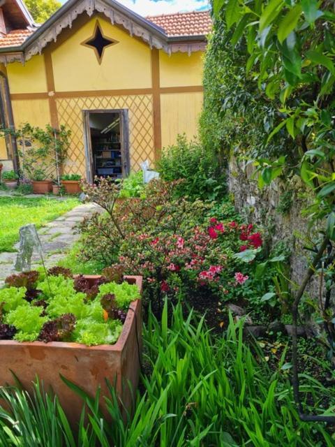 Ca Balossa, Tremezzina Lago Di Como Davanti A Bellagio E Villa Balbianello 梅泽格拉 外观 照片